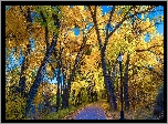Jesień, Aleja, Drzewa, Droga, Latarnia