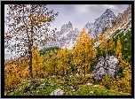 Austria, Salzburg, Góry, Alpy, Drzewa, Jesień, Kamienie