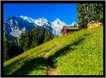 Góry, Alpy Berneńskie, Wengen, Dom, Las, Ścieżka, Szwajcaria