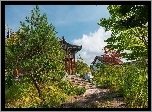 Ogród, Altanka, Chiny
