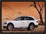 Audi, A4 AllRoad , Pustynia, Drzewo