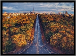 Jesień, Autostrada, Droga, Drzewa, Las, Berlin, Niemcy