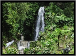 Wodospad Nordeste, Wyspa Sao Miguel, Azory, Portugalia, Drzewa, Palmy, Kwiaty, Kamienie, Roślinność