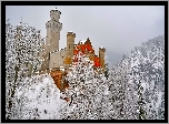 Niemcy, Bawaria, Zamek Neuschwanstein, Skały, Drzewa, Zima