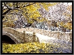 Central Park, Nowy York, Jesień