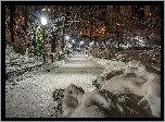 Central Park, Nowy Jork, Zima, USA