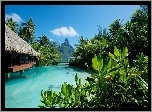 Chatka, Góra, Roślinność, Bora Bora