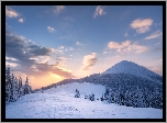 Ukraina, Karpaty, Góry Gorany, Zima, Las, Drzewa, Wschód słońca, Chmury