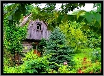 Drewniany, Dom, Ogród