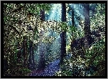 Las, Droga, Ścieżka