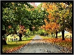 Droga, Drzewa, Płot, Jesień