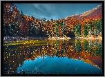 Czarnogóra, Park Narodowy Biogradska Gora, Jezioro Biograd, Las, Jesień, Drzewa
