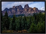 Kanada, Park Narodowy Banff, Góry, Góra Castle Mountain, Las, Drzewa