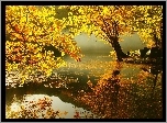 Jesień, Drzewa, Jezioro