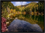 Stany Zjednoczone, Stan Kolorado, Jezioro Lizard Lake, Wzgórza, Jesień, Drzewa