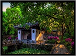 Chiny, Prowincja Jiangsu, Okolice Wuxi, Xihui Park, Altana, Drzewa