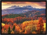 Góry Lewockie, Las, Drzewa, Jesień, Chmury, Słowacja