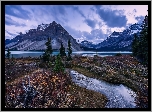 Kanada, Park Narodowy Banff, Góry, Jezioro Bow Lake, Drzewa
