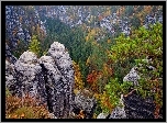 Niemcy, Park Narodowy Saskiej Szwajcarii, Góry Połabskie, Skały, Drzewa