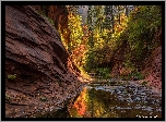 West Fork Oak Creek, Sedona, Arizona, Stany Zjednoczone, Jesień, Drzewa, Rzeka, Skały