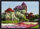 Ogrody, Dubaju, Wiosna, Kwitnące, Drzewa, Ekspozycje Kwiatowe