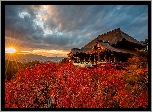 Japonia, Kioto, Dzielnica Higashiyama, Świątynia, Kiyomizu-dera, Jesień, Drzewa, Promienie słońca