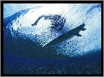 Morze, Fala, Surfer