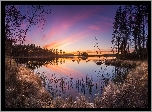 Finlandia, Gmina Ruovesi, Park Narodowy Helvetinjärvi, Jezioro Haukkajärvi, Drzewa, Zachód słońca