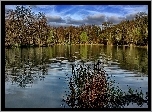 Francja, Dagneux, Jezioro Lac Neyton, Drzewa