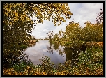 Francja, Gmina Condé-sur-lEscaut, Jezioro Étang de Chabaud-Latour, Jesień, Drzewa, Liście