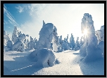 Finlandia, Region Pohjois-Pohjanmaa, Gmina Kuusamo, Wzgórze Kuntivaara, Zima, Promienie słońca, Zaspy, Ośnieżone, Drzewa