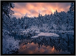 Norwegia, Gmina Ringerike, Jezioro, Zima, Drzewa, Śnieg