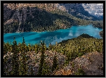 Góry, Skały, Drzewa, Jezioro, Peyto Lake, Park Narodowy Banff, Kanada