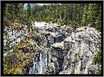 Kanada, Prowincja Alberta, Park Narodowy Banff, Góry, Las, Mistaya Canyon, Rzeka