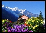 Dom, Góry, Kwiaty