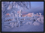 Zima, Góry, Drzewa, Ogrodzenie, Rezerwat Valtavaara, Laponia, Finlandia