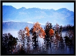 Góry, Mgła, Jesień, Drzewa