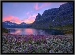 Łąka, Jezioro, Góry, Norwegia