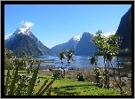 Jezioro, Góry, Roślinność, Milford Sound, Nowa Zelandia