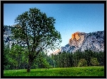 Góry, Las, Łąka, Park Narodowy Yosemite