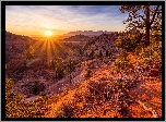 Promienie słońca, Góry, Drzewa, Park Narodowy Zion, Stan Utah, Stany Zjednoczone