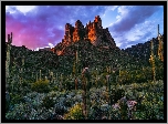 Stany Zjednoczone, Arizona, Góry, Superstition Mountains, Skały, Kaktusy, Drzewa, Roślinność, Chmury, Zachód słońca