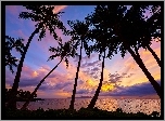 Hawaje, Maui, Zachód słońca, Palmy, Morze