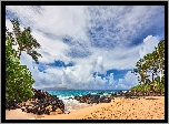 Hawaje, Morze, Plaża, Palmy, Roślinność, Chmury