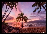Hawaje, Morze, Palmy, Zachód słońca
