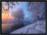 Rzeka Istra, Miasto Chimki, Rosja, Zima, Mgła, Drzewa