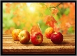 Jabłka, Jesień