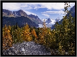 Jesień, Góry, Żółte, Drzewa, Kamienie, Droga, Alaska, Stany Zjednoczone
