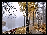 Jesień, Park, Drzewa, Mgła, Ławka, Staw