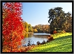 Jesień, Rzeka, Brzeg, Drzewa